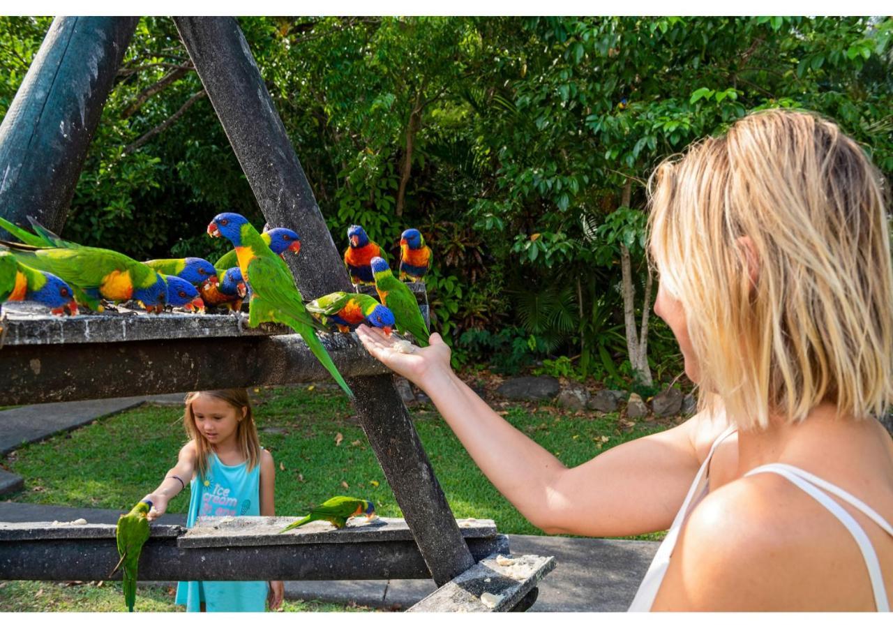 Discovery Parks - Airlie Beach Dış mekan fotoğraf