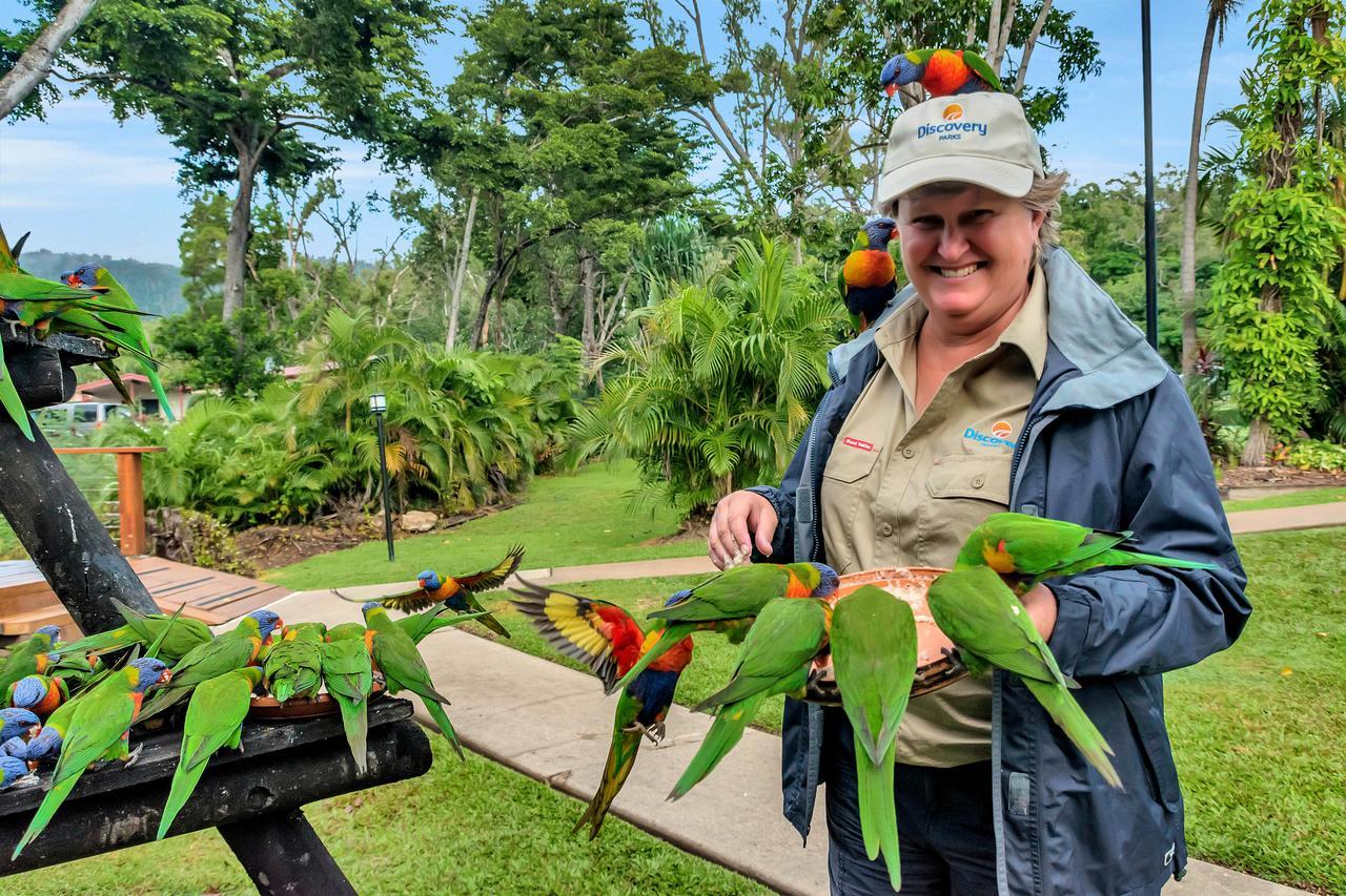 Discovery Parks - Airlie Beach Dış mekan fotoğraf