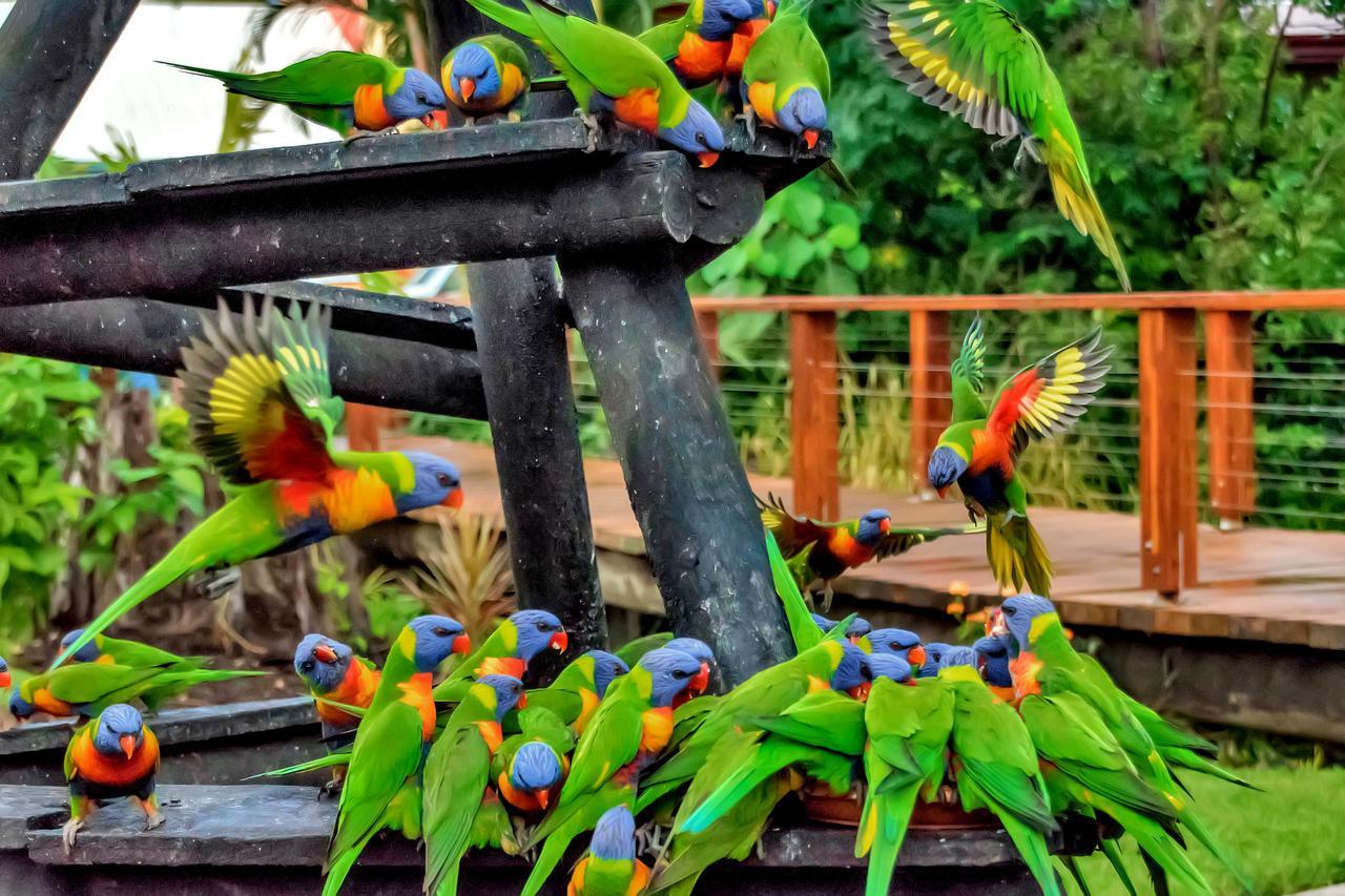 Discovery Parks - Airlie Beach Dış mekan fotoğraf